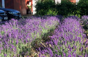Schönes Haus mit 3 Schlafzimmern - bis zu 6 Personen - Foto 9