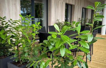 Lago Apartamenty Domki - Foto 30