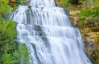 la champagnolaise - Foto 31