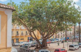 Peaceful & bright apartment with patio - Center - Foto 36