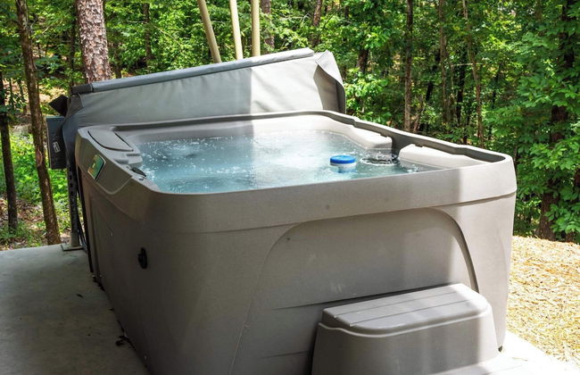 Starlight Haven Weiss Lake - Photo 53