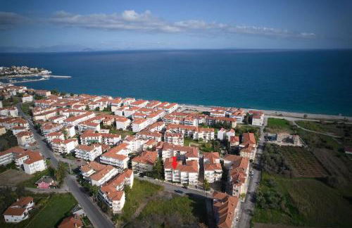 Blue Dreams Astros - Foto 2