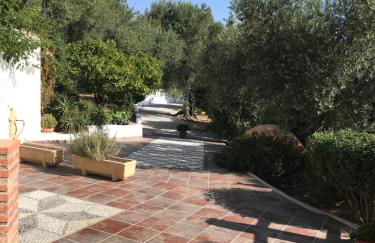 Jardin Andaluz veleta - Foto 11