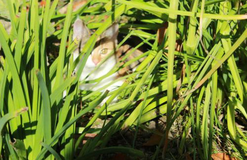 Za Siódmą Górą - Foto 68