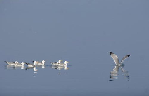 Villa Arca Adriatica - Foto 51