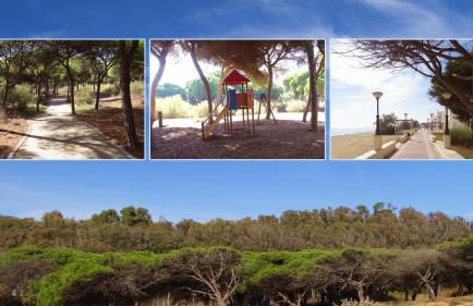 Playa Eucaliptos 1A - Foto 37