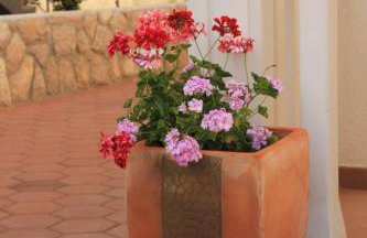 Apartments by the sea Pasman - 8215 - Foto 13