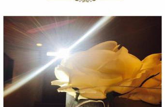 Il Casale Società Agricola Semplice di Barattini Pascucci Doriana e C - Foto 39