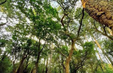 La maison de Maritxu - Entre plage et foret - Landes - Pays Basque - Foto 16
