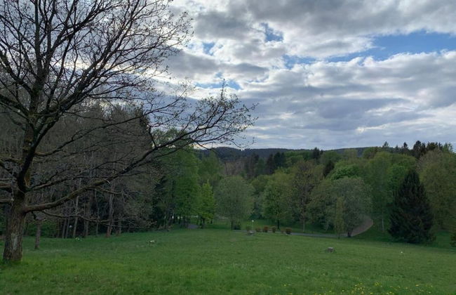 Cozy Apartment in Braunlage near Forest - Foto 30