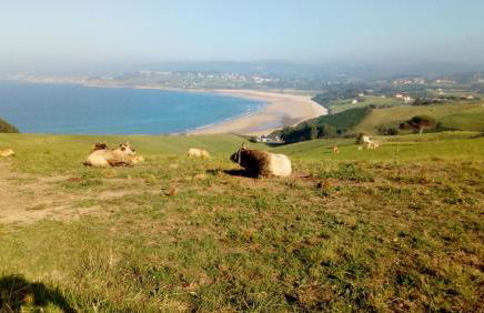 La Casa de Consuelo 3 - Foto 43