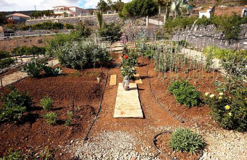 Finca el Vinche - Foto 21