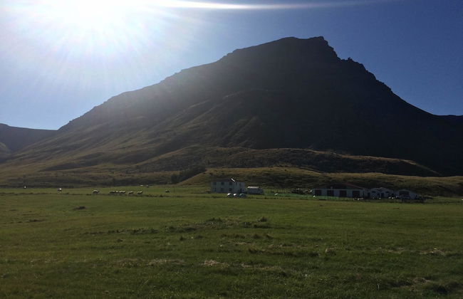 Sæból Farm - Foto 12