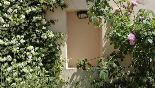 The House Aunt Regina - Foto 4, Garden