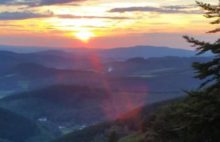 Urlaub auf dem Bauernhof - Foto 32