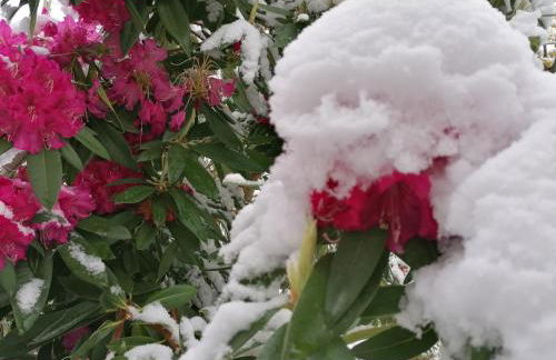 Casa Largo S Lourenço e Casa da Videira - Photo 34