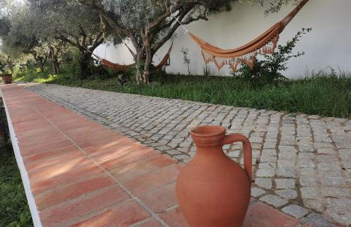 Horta das Laranjas - Foto 22