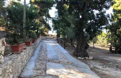 VILLA PINETA VISTA MARE - Foto 72