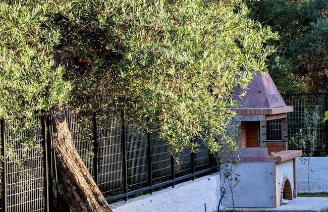 All Saints Villas - Photo 53