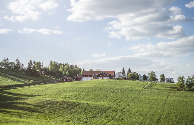 Helgaker Gård - Foto 49