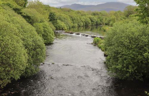 Llety'r Bugail 2 - Photo 17