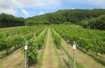 Maryland Cottage Nr Gatwick - Foto 20