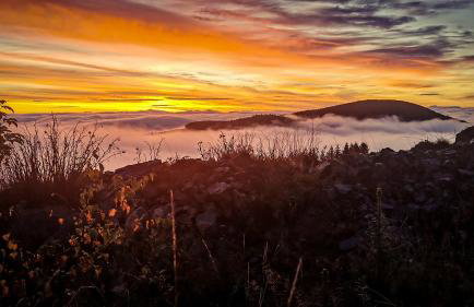 Orle Gniazdo - Foto 57