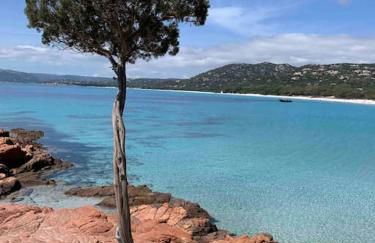 Villa VESTA 62m2 à St Cyprien 700 m de la plage et du village - Foto 39