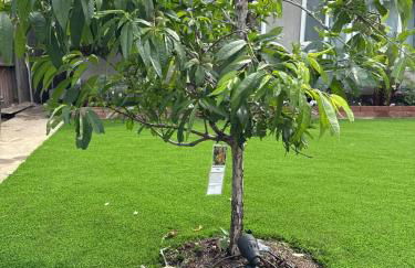 Adorable 2BR-2BA House with EV & Free Parking and Family Friendly in Los Angeles - Photo 56