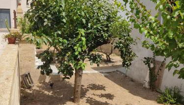 Villetta Lia - Foto 5