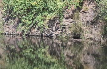 Zen Guest House em Leiria - Foto 36