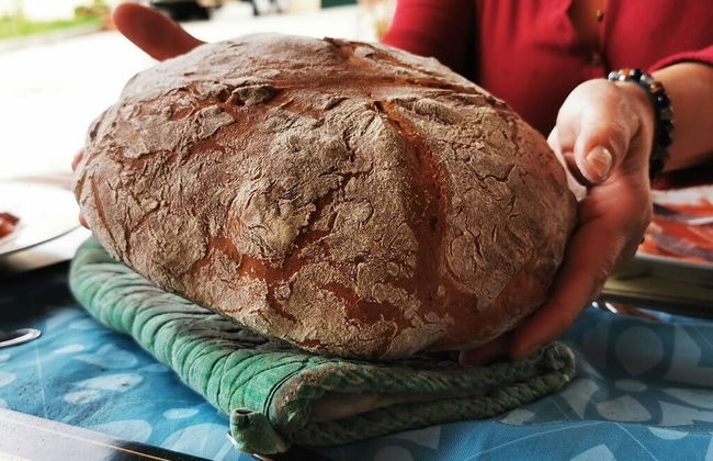 Terra Luso - Foto 39