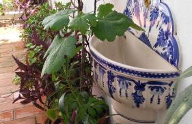 Patios con encanto - Foto 16