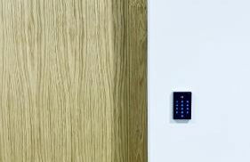 Lar de Canedo - Foto 12