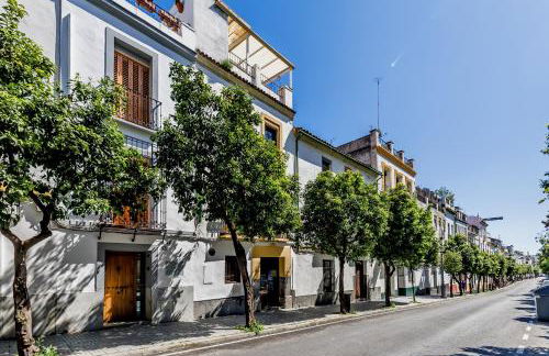 Casa Los Naranjos - Terraza en el Casco Histórico - Foto 6