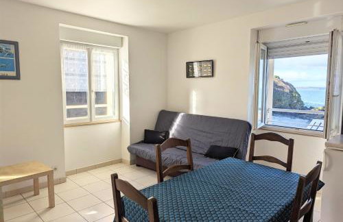 Appart vue mer-au pied du chemin de randonnée " Bassan" - Foto 22