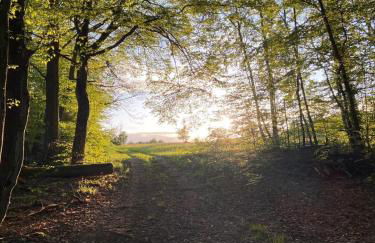 Ferienhaus Rosensteig 128 im Feriendorf Eichwald - Foto 11