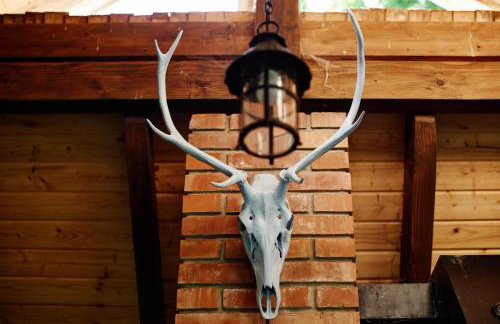 Agroturystyka Akacjowe Zacisze - Foto 61