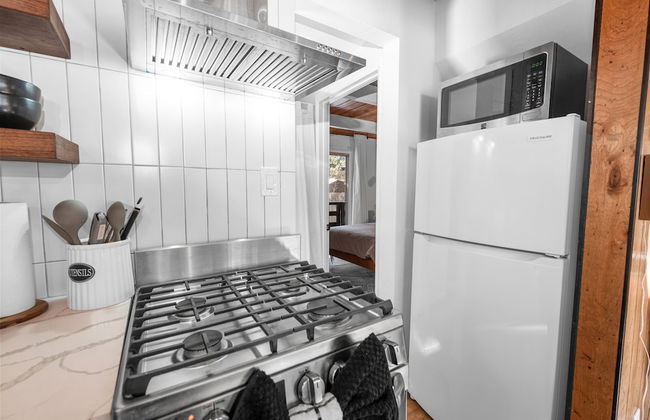 Bearadise - Photo 11