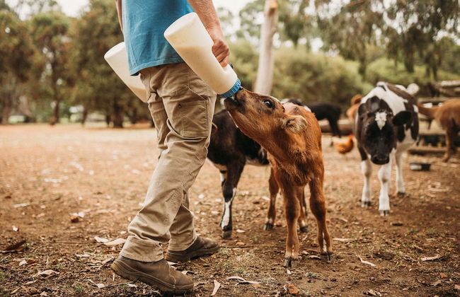 Margaret River Holiday Cottages - Photo 58