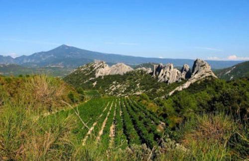 Les Dentelles du Ventoux - Gîte avec Piscine - Photo 15