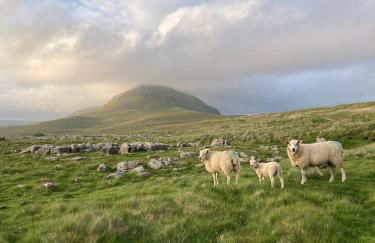 Bluebell Cottage in the Yorkshire Dales - Foto 16