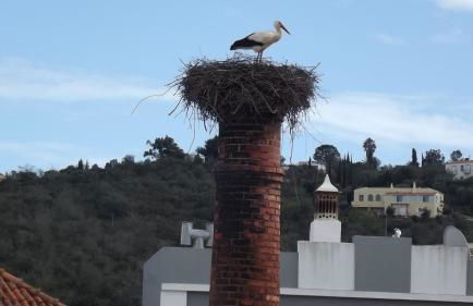 Casa à Porta do Torreão - Photo 5