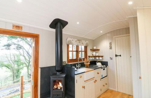 Little Silver Fox - Foto 12