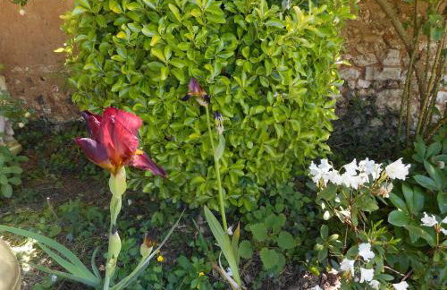 Le Gite de Lili - Foto 30
