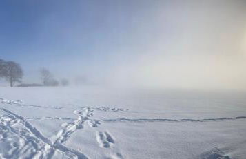 Ferienwohnungen bei der Purpurbuche - Foto 41