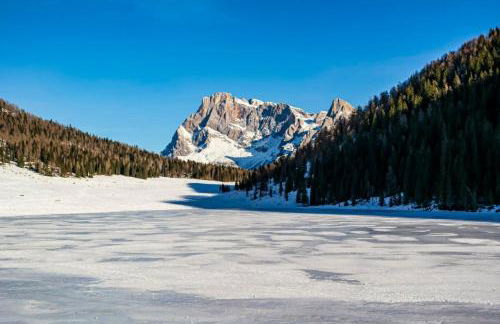 CASA BERNARD Zortea VANOI cuore verde del Trentino - Foto 36