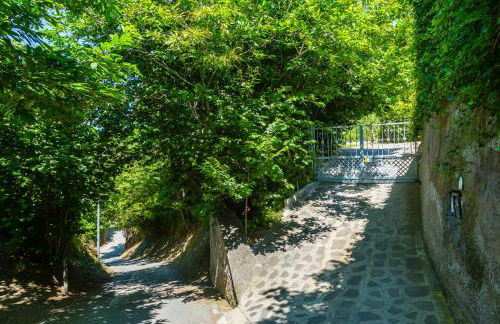 Le Castagne Apartments Ischia - Foto 39