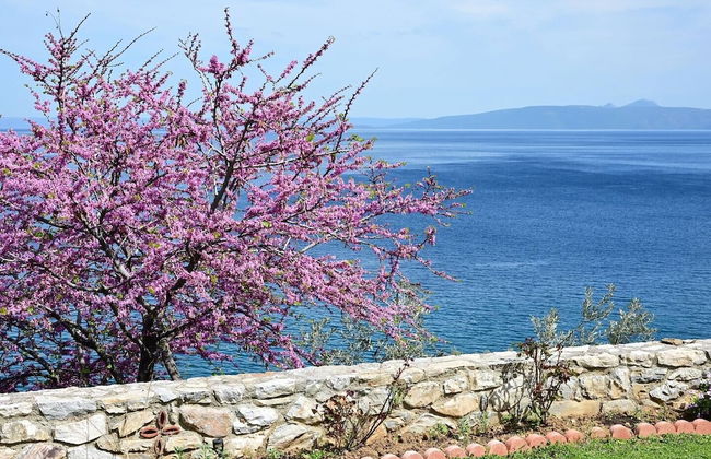 Ira Charming apt with stunning view - Foto 44