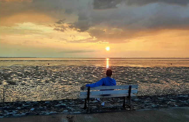 Ferienhof Landhaus Markus, Suderschwei - Foto 16